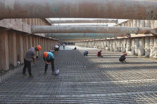市政集團黨總支 黨建聯建聚合力，攜手共建精品民生工程